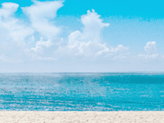 헤이즐 프로필.