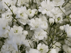 사랑한 그대에게