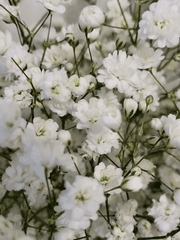 사랑한 당신에게