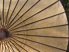 [도위소병] 우산을 쓴 왕 (下)