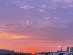 반드시 오고 말 여름