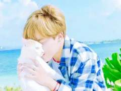 안녕, 나의 삼색고양이 <7>