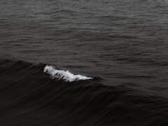 기록, 존 윌리엄 폴리도리 -단상들 下 (完)