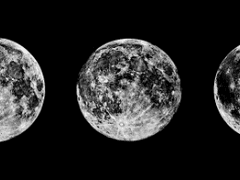 마음을 따르는, 말의 衝動