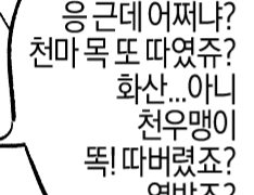 서러운 청띵이 만와