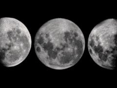 羽山 一花 하네야마 이치카