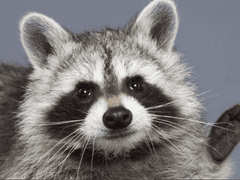 여주의 일상 #.23