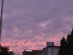 프로아나판에 들어오게 된 이유