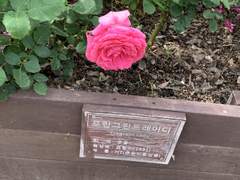 쉿! 내 이야기 들어볼래?