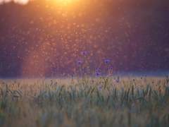 너의 믿음은 무겁고도 상냥해서