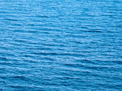 바다와 탐정과 팬케이크와