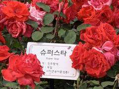 쉿! 내 이야기 들어 볼래?