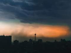 떠나온 자의 이야기