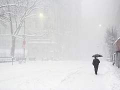 내가 없다고 혼자이지는 않은지