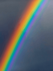 주인님을 위하여