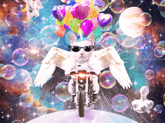 Gift Delivery Service