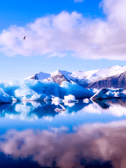 에드완 엔헤르트