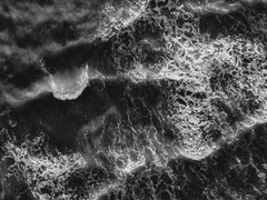 죽음을 溺死시키고자 하였다.