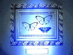 에드완은 생각한다.