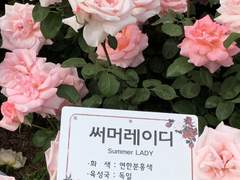 쉿! 내 이야기 들어볼래?