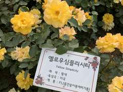 쉿 ! 내 이야기 들어볼래?