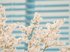 다행이다! 선배, 집에 잘 들어갔어요?