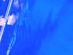 왕의 꿈, 꿈의 왕 5