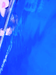 왕의 꿈, 꿈의 왕