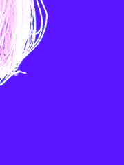 련정련감(戀情戀憾)