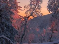 함께 춥기를 바라