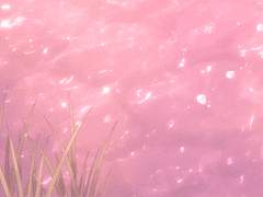 건드리면 톡, 터질 꽃망울아.