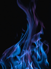 내가 키운 S급들