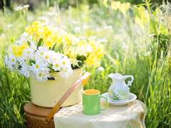 사랑이 싹틀락 말락 하는 피크닉