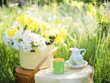 사랑이 싹틀락 말락 하는 피크닉