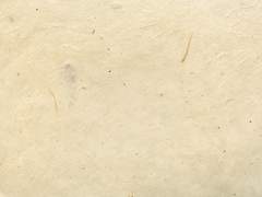 박물관은 죽어있다