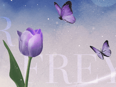 시련 속에 피는 꽃..🌹