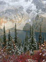 𝗖𝗼𝗺𝗺𝗶𝘀𝘀𝗶𝗼𝗻 [ 고정틀 ]