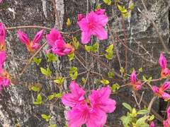 쉿! 내 이야기 들어 볼래?