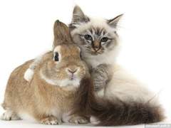 데못죽 썰 백업 (유진래빈 99%)