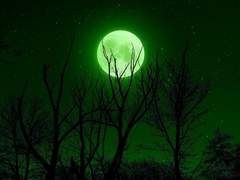 멜리투스 녹스/수면의 신