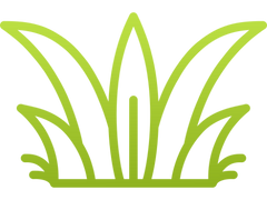 [공격계/1학년] 차차윤