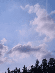 이어폰 하나를 나누어 쓰던 너는 나는 우리는 세상에 도태되어 마땅하다