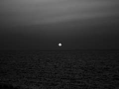 당신은 발끝까지 모두 주셨지만 나는 갖지 못했고