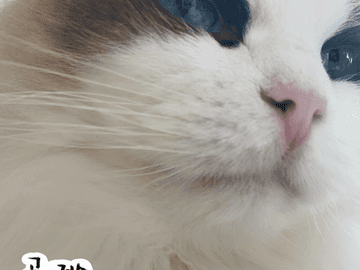 쥬비뚜비일기 27화