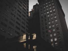 그것은 천성이었다.