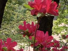 쉿! 내 이야기 좀 들어볼래?