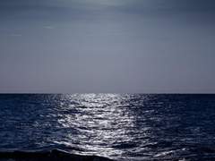 달무리 지는 어떤 밤에 바치는 글