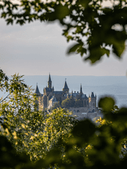 그들만의 사랑법