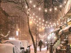 겨울의 어느 날