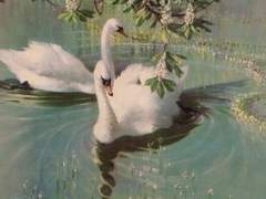 계속 무관심한 게 나았을 텐데.